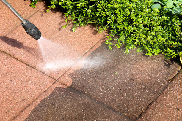 Best Local Pressure Washing Services  in Tifton, GA